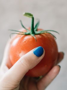 Kan hunde tåle tomat? Og hvilke andre fødevarer kan give din hund maveproblemer? Lær med i Kæledyrsbloggen